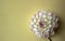 White chrysanthemum flower, symmetry and golden section