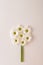 White chrysanthemum flowers arranged in a circle on a white background. Wedding spring concept. Flat lay