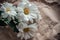 White Chrysanthemum flowers in brown craft paper on a white table. Golden-daisy bouquet on blurred background