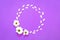 White chrysanthemum in the shape of circle on a purple background