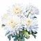 White Chrysanthemum Watercolor Painting: Realistic Still Life Illustration