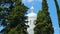 White church top between green trees on blue sky background, peaceful Georgia