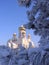 White Church winter landscape in snow-covered pine branches