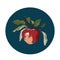 White circle with apple for your designs and ideas,graphic element