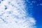 White cirrus clouds blue sky background closeup, fluffy cumulus cloud texture, cloudscape, cloudy weather, cloudiness, ozone layer