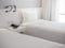 White clean bed with white pillow in hotel bedroom