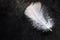 White clean delicate bird feather on black concrete stone background, contrast, purity, equilibrium