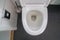 White clean toilet bowl with brush for health and sanitary in bathroom