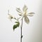 White Clematis Flower: A Realistic Still Life In The Style Of Rodney Smith