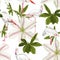 White clematis flowers and flamingo bird seamless pattern, branch, greenery.