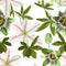 White clematis and Passiflora flowers seamless pattern, branch, greenery.