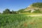 White cliffs and agricutural fields in the Seine valley