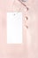 White clothing tag, label blank mockup template, to place your design. Premium cotton pink blouse