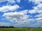 White clouds in the blue sky natural background nature rice tree grassy lush verdancy verdant verdantly verdure verdurous