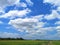 White clouds in the blue sky natural background nature rice tree grassy lush verdant verdantly verdure