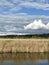 White clouds float above a forest, field, and river - BUCOLIC