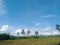 White clouds form in the blue and sunny sky