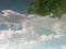 White clouds and a green tree reflectes in a quiet lake