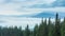 White clouds move slowly along autumn mountain forest at hill during rain. Calming view of evergreen pine forest in