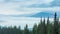 White clouds move slowly along autumn mountain forest at hill during rain. Calming view of evergreen pine forest in