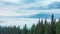 White clouds move slowly along autumn mountain forest at hill during rain. Calming view of evergreen pine forest in