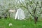 white coat, basket and bouquet in garden