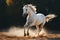 A white coated stallion in full stride, a vision of elegance