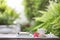 White coffee cup and notebooks with flowers on brown wooden table at outdoor lush scenery