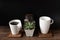 White coffee cups  on wooden  table with roasted coffee beans and flower pot decoration