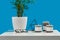 White coffee table with green flower in pot, three candles, decorative iron triangle and black rimmed glasses. Blue