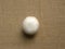 White color Button mushroom
