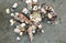 White and Colorful Sea Shells on Beach with Grey Sand.Clams On Beach Sand
