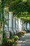 White columns with plants overhead in garden in Anacapri, capri island, Italy