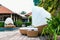 White comfort beds by pool in a hotel in the tropics with green bushes