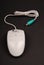 White computer optical mouse