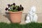 White concrete sculpture of mighty lion holding shield next to ceramic flower pot filled with bicolor wild pansy flowers on edge