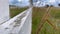 White concrete wooden fence in the green summer farm field with dry grass, blurred background of country rural landscape