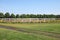 White corral fence and country road