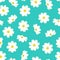 White Cosmos Flower on Blue Mint Background. Vector Illustration