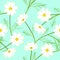 White Cosmos Flower on Green Mint Background. Vector Illustration