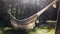 A white cotton hammock stretched between two pine trees in a forest