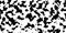 White cowhide with black spots as a seamless pattern