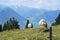 White cows graze in swiss alpine pasture