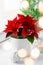 white cozy window arrangement, winter christmas concept, red poinsettia flower, lights