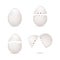 White cracked eggs set