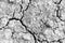 White cracked surface of grey soil texture background, light dried and chopped gray earth, old fissure dark ground, close-up,