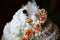 White creamy wedding cake with pigeons and wedding rings decorated with roses