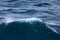 White crest of a sea wave. Selective focus. Shallow depth of field