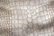 White crocodile or aligator leather texture. Abstract hide background.