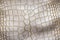 White crocodile or aligator leather texture. Abstract hide background.